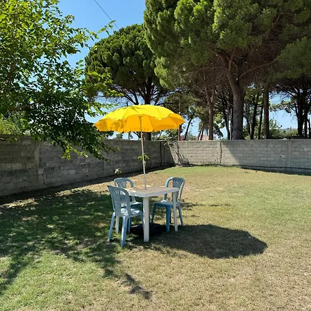 Lazaj Wlora
